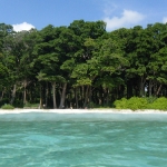 Looking back from the sea to the entrance to Barefoot